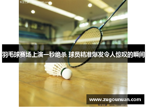 羽毛球赛场上演一秒绝杀 球员精准爆发令人惊叹的瞬间