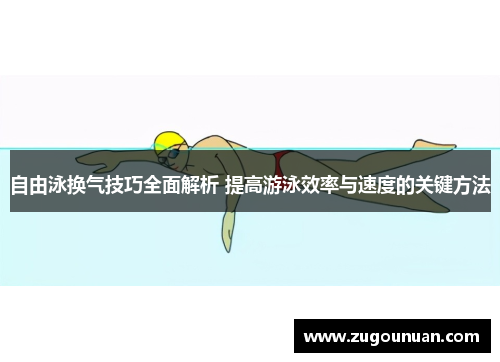 自由泳换气技巧全面解析 提高游泳效率与速度的关键方法